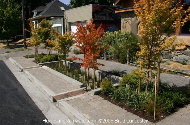 A sophisticated curb cut system watering street trees in Portland, Oregon.